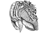 Marine Life 5
