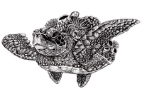 Marine Life 3