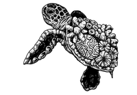 Marine Life 7