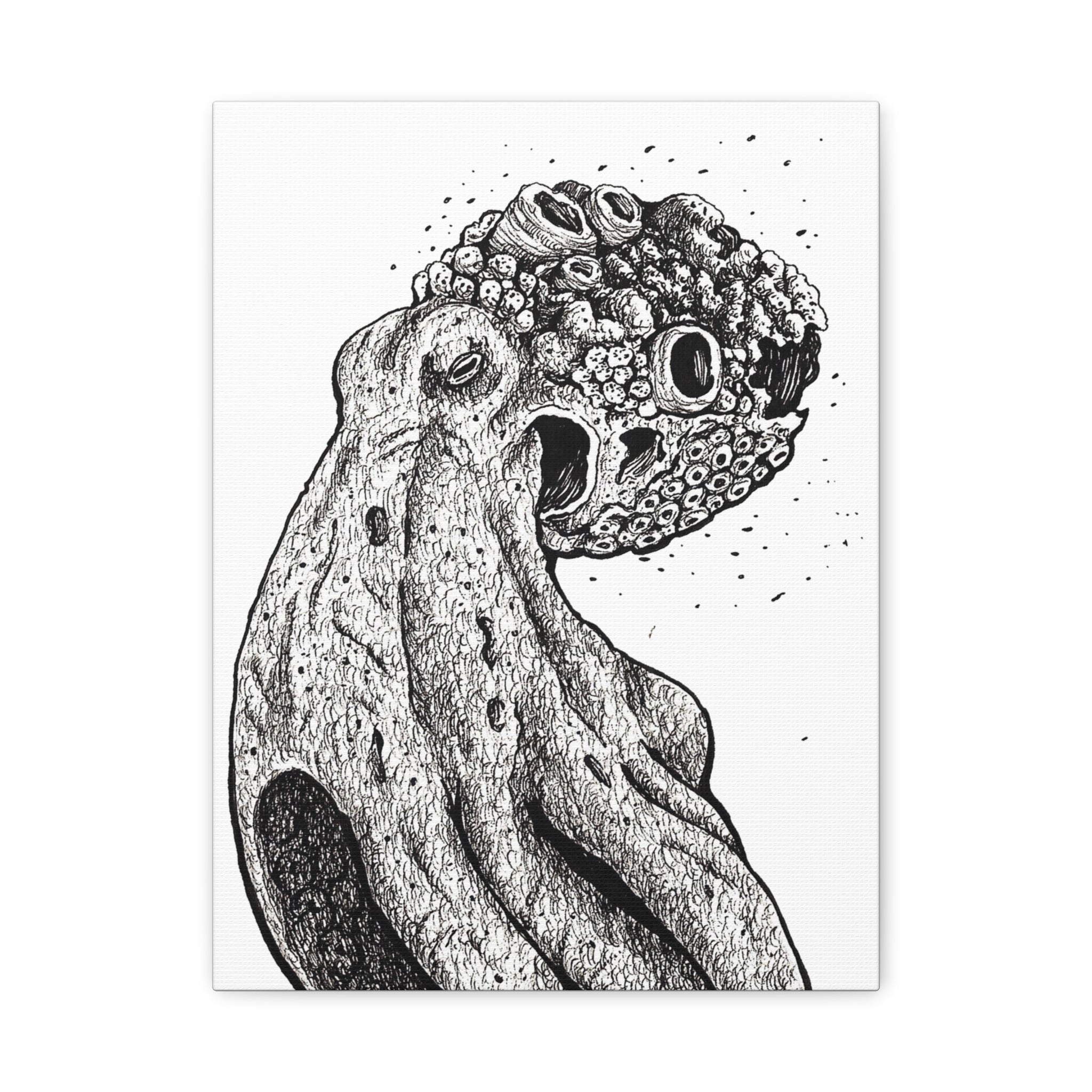 Octopus