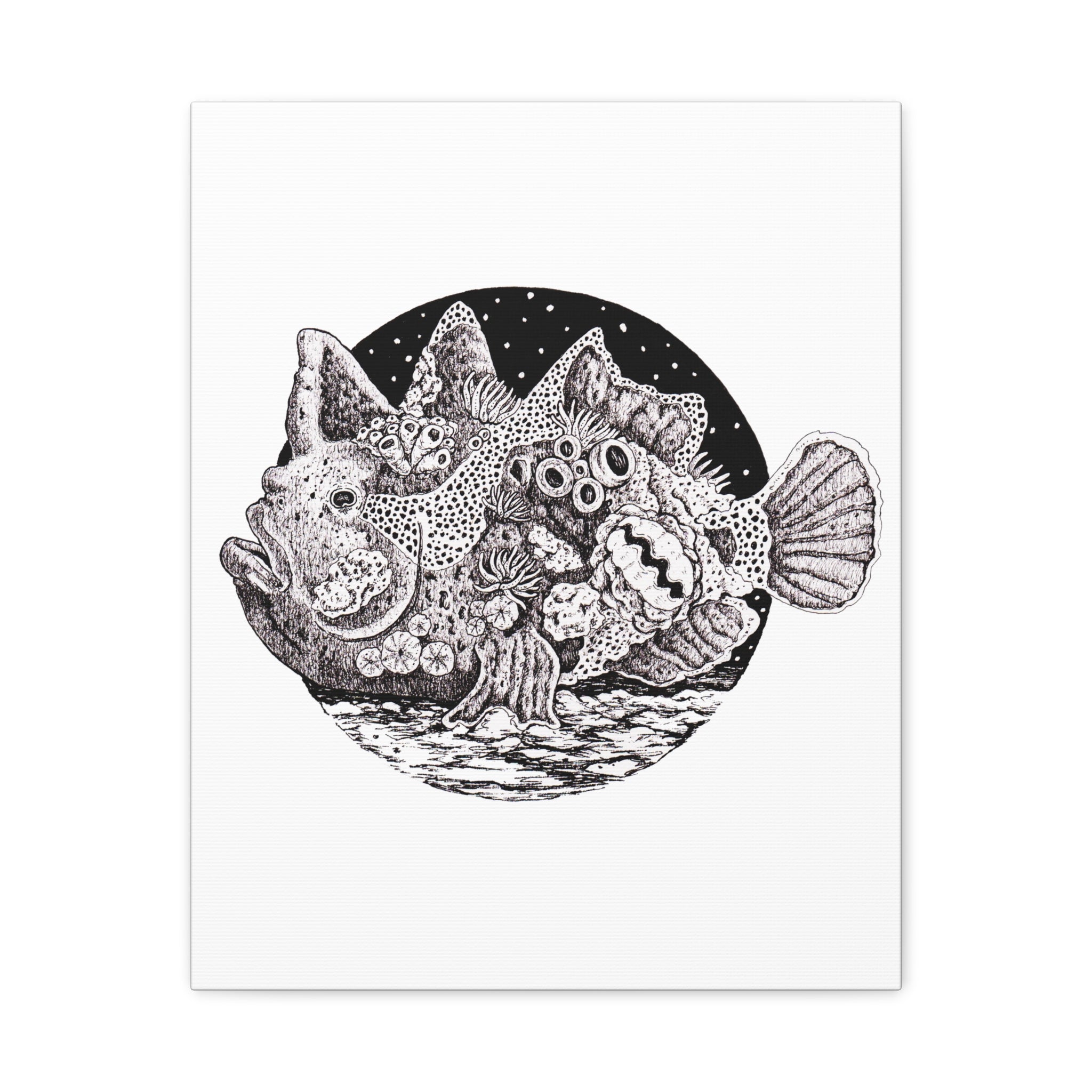 Stonefish