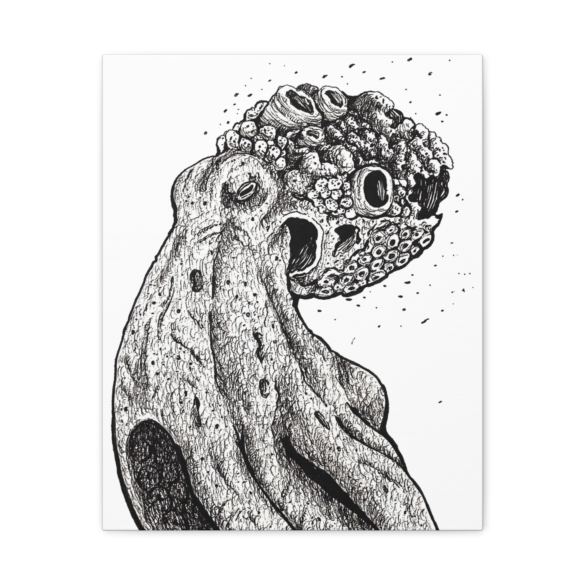 Octopus
