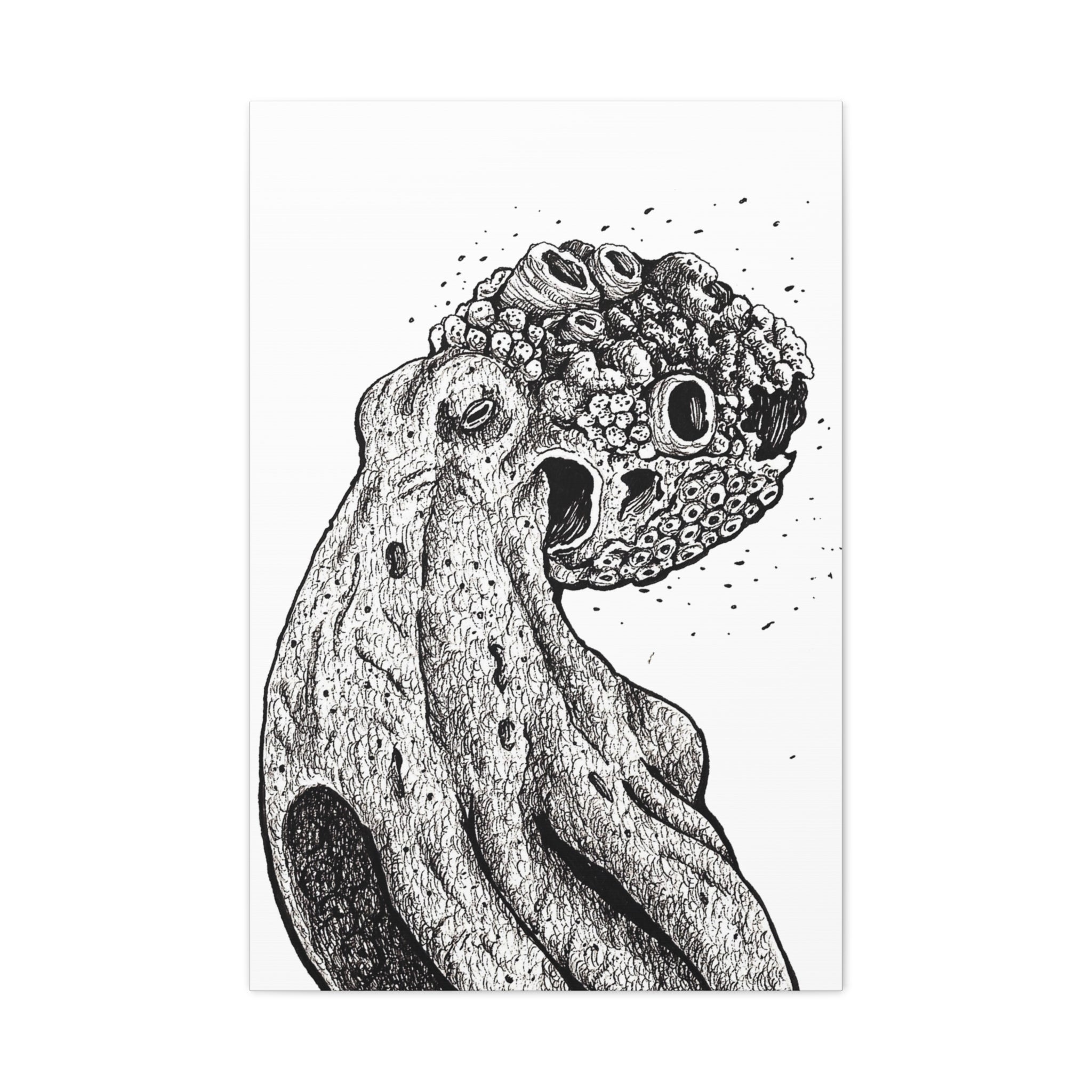Octopus