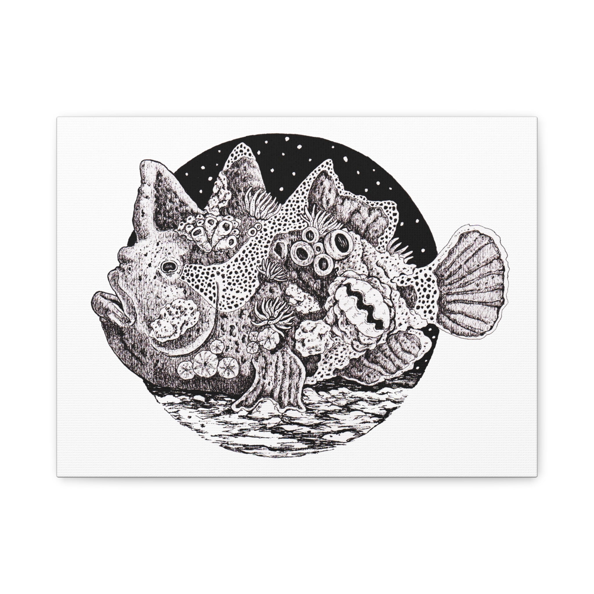Stonefish