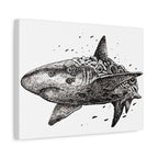 Great White Shark