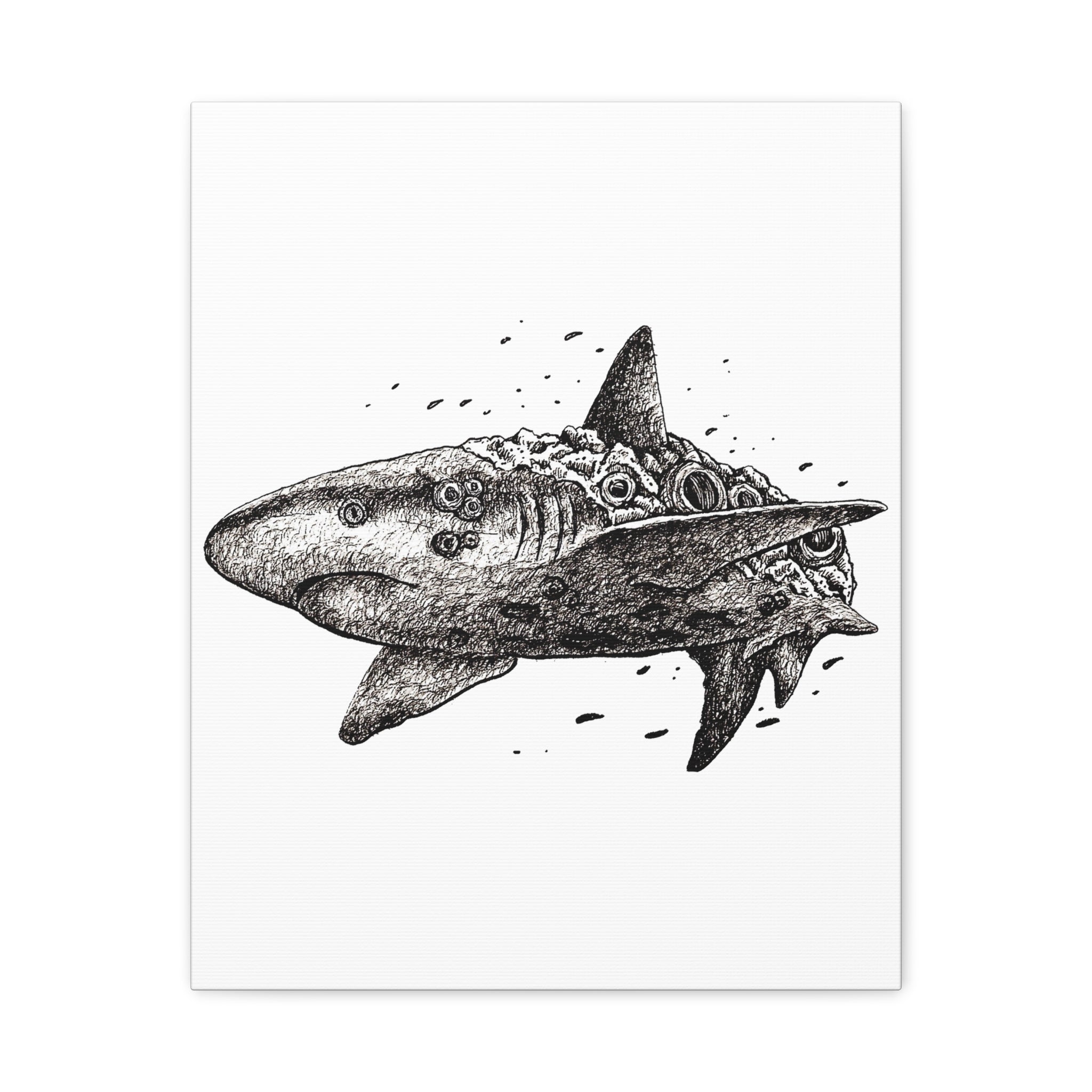 Great White Shark