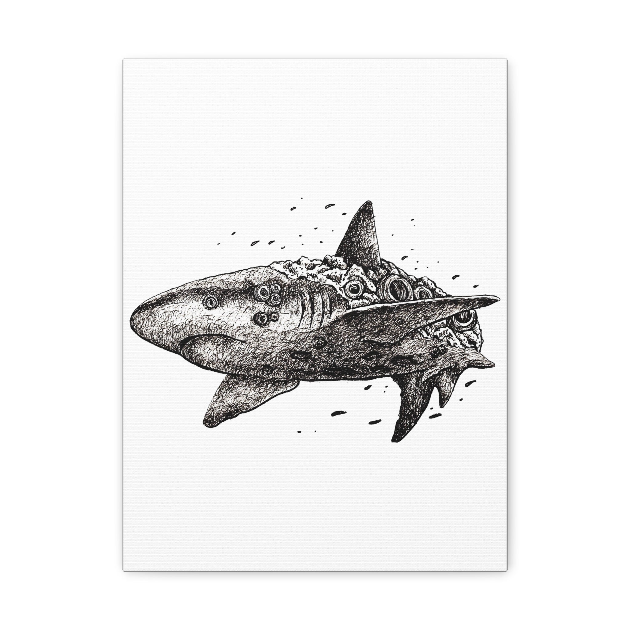 Great White Shark