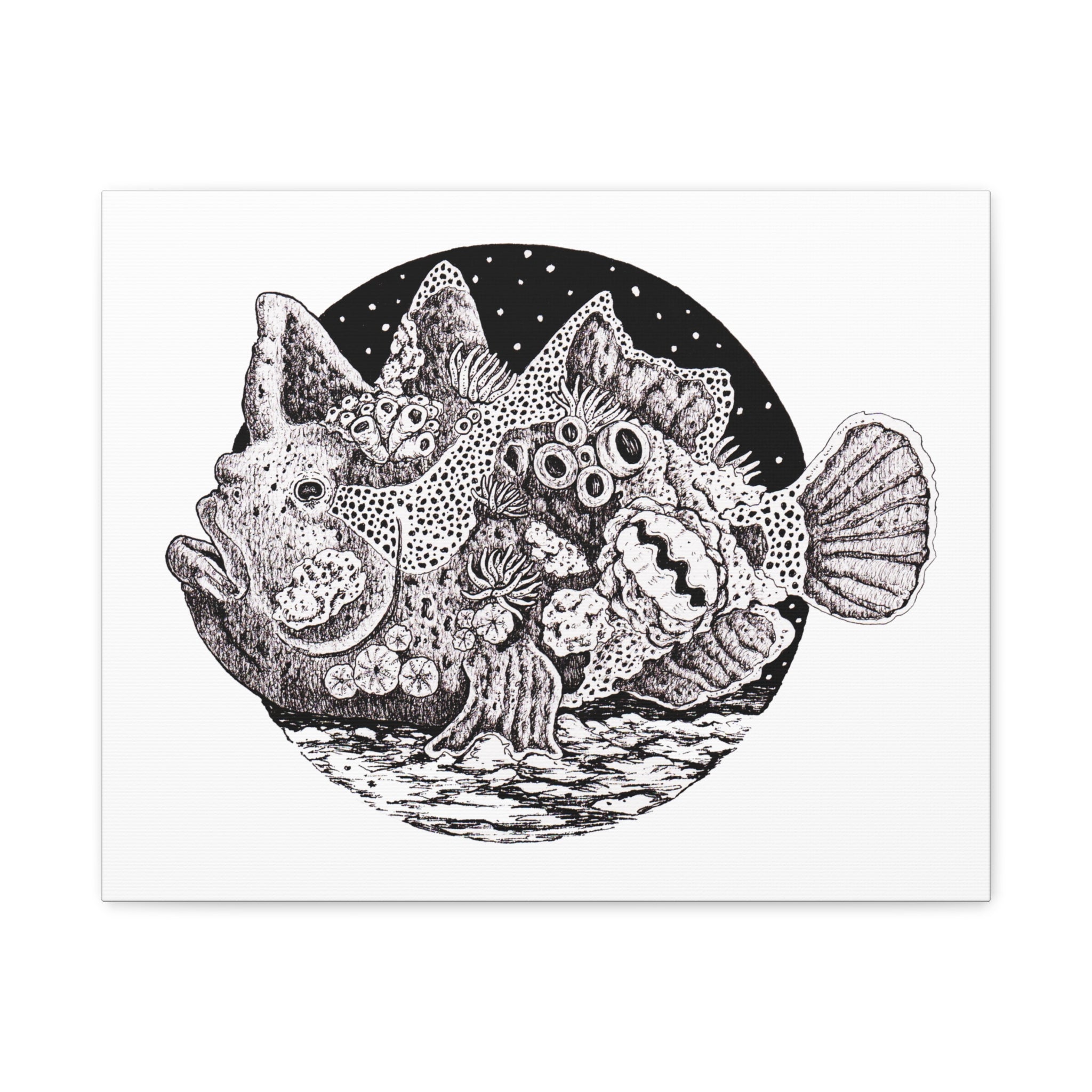 Stonefish