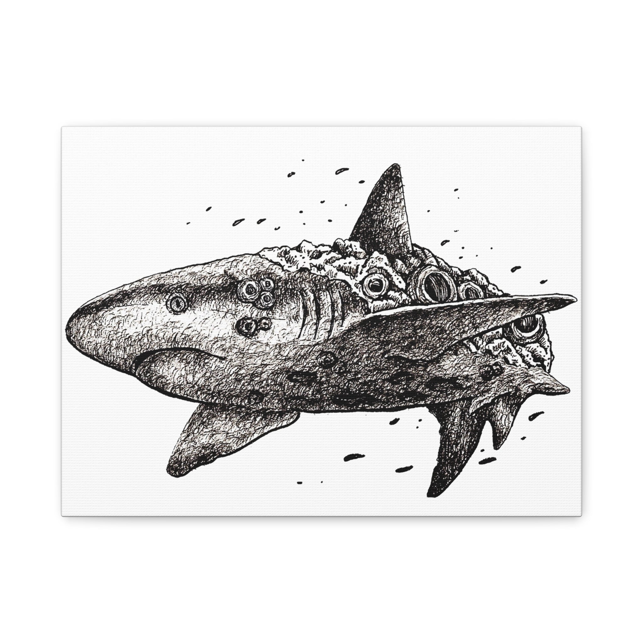 Great White Shark