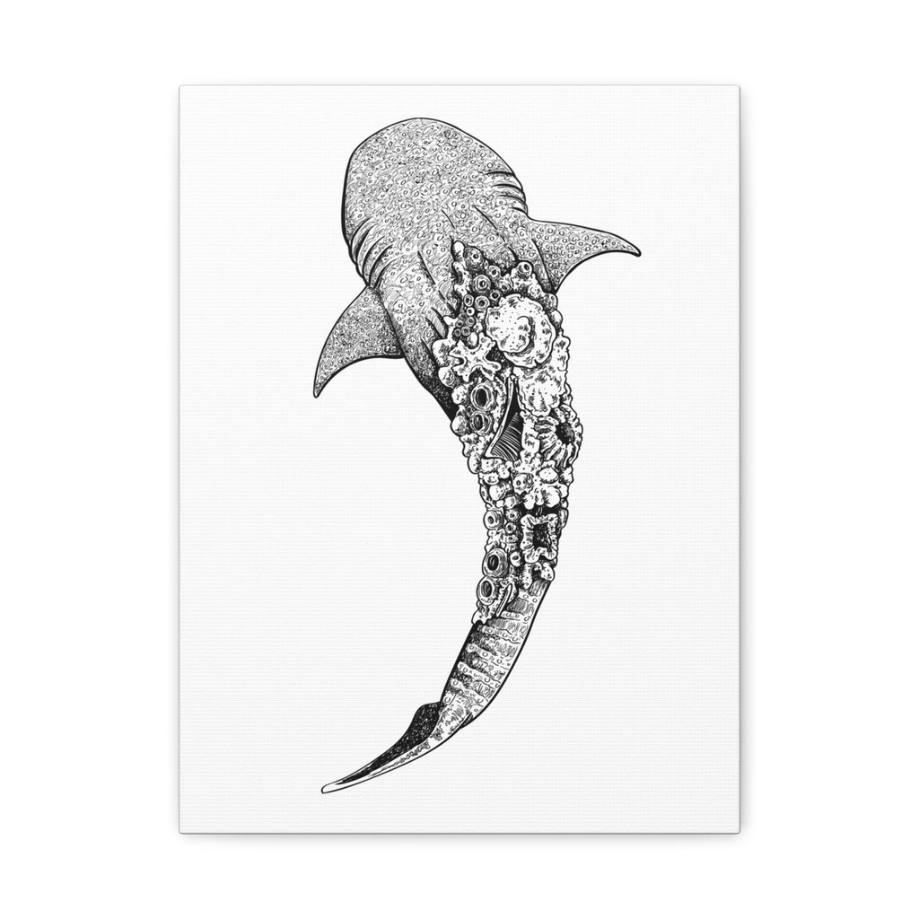 Whale Shark