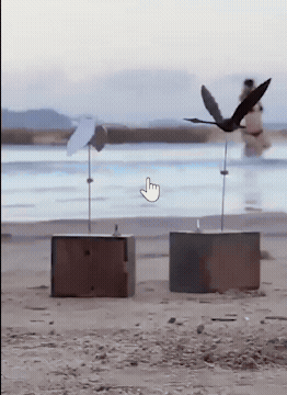 Wooden Swan Automaton Sculpture